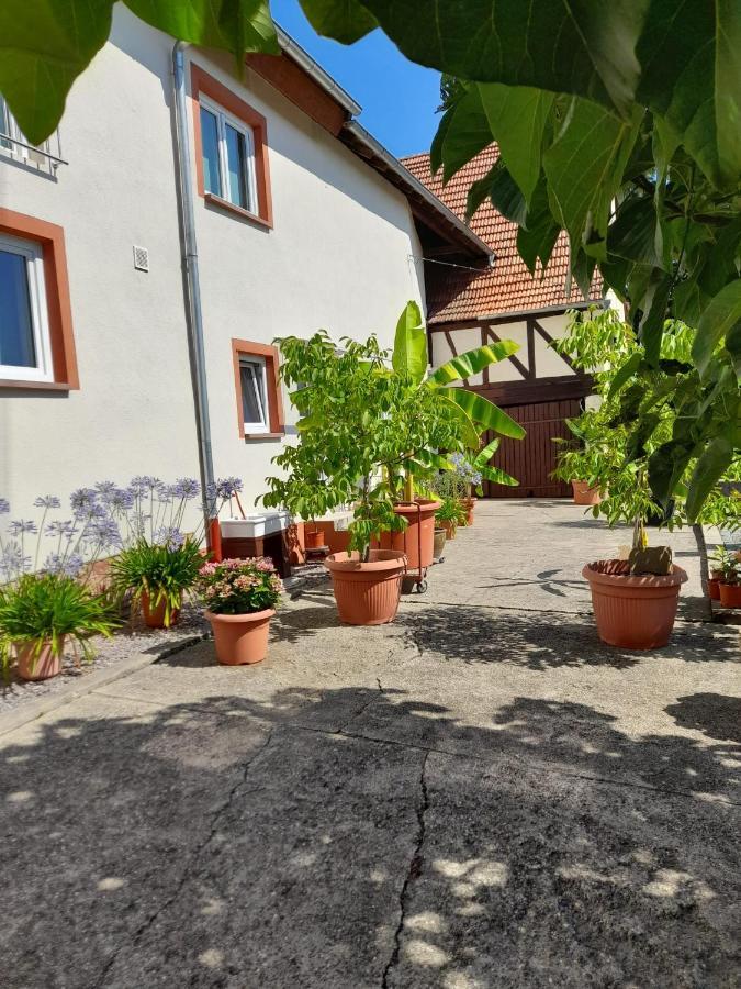 Ferienwohnung Zum alten Kuhstall Oberhausen  Exterior foto