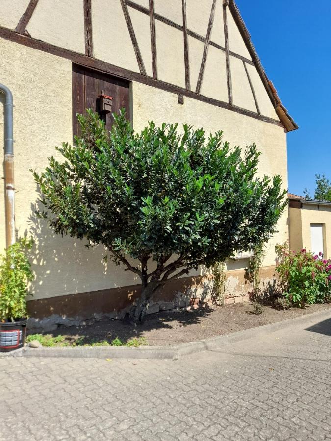 Ferienwohnung Zum alten Kuhstall Oberhausen  Exterior foto